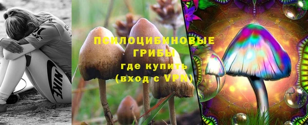 ПСИЛОЦИБИНОВЫЕ ГРИБЫ Белокуриха